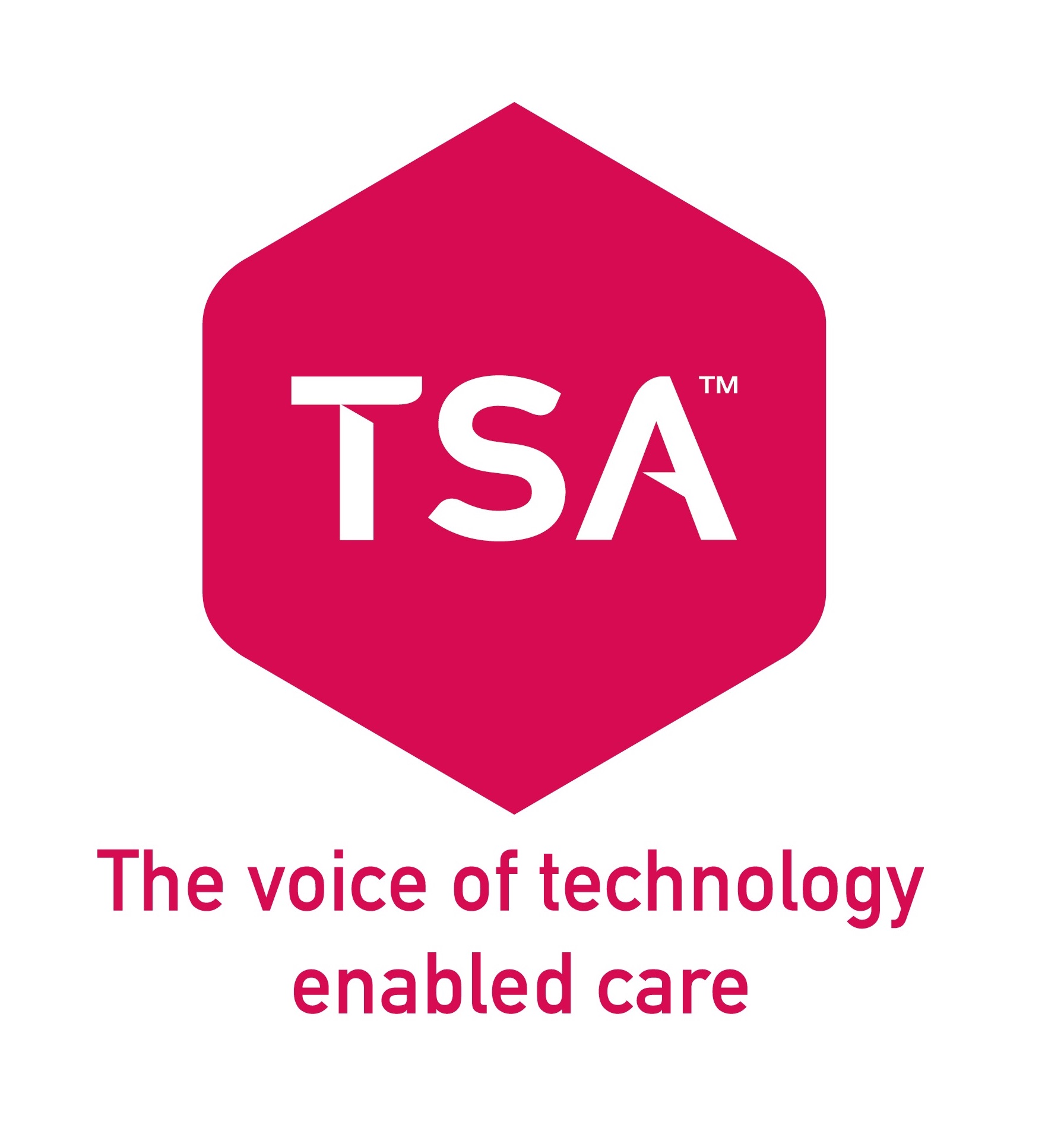 TSA full logo