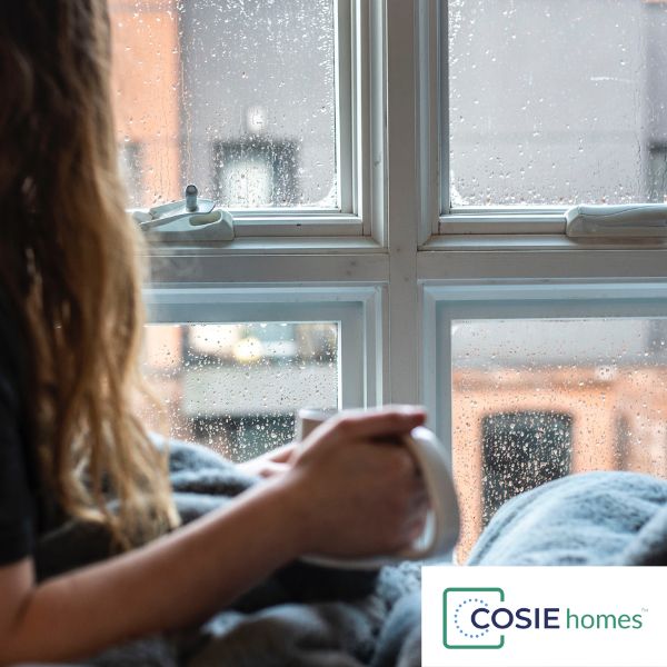 COSIE homes blog post - Tips 