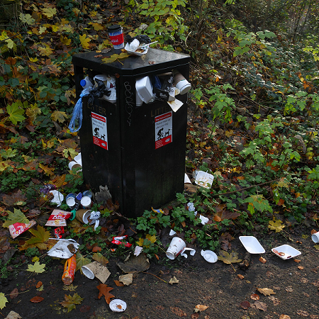 Smarter Waste Management - Identifying & Monitoring bins 